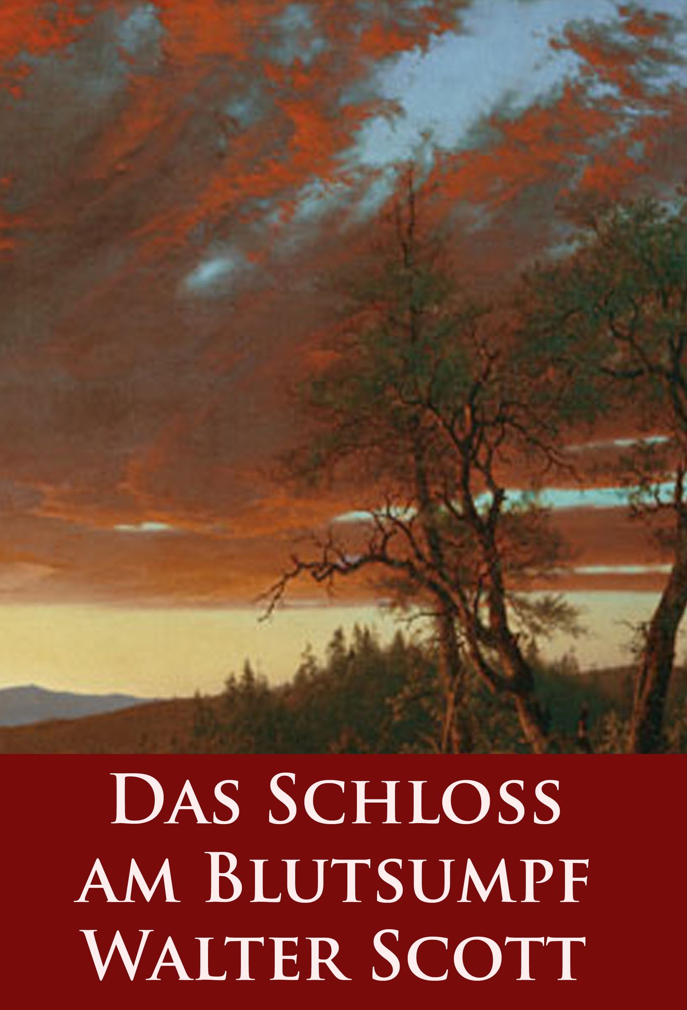 Das Schloß am Blutsumpf: historischer Roman