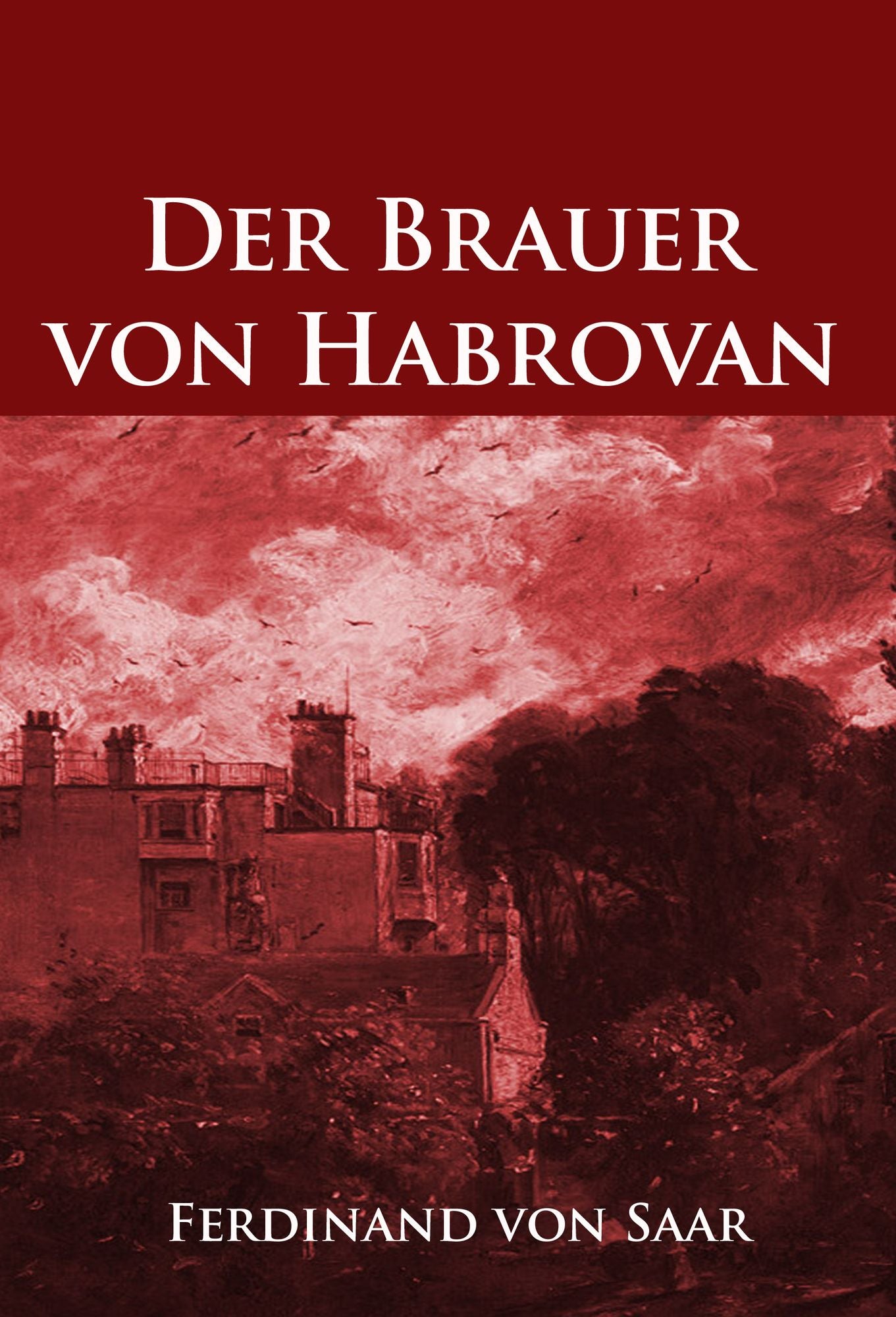 Der Brauer von Habrovan: historischer Roman / Krimi