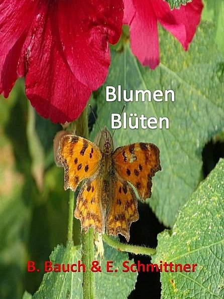 Blumen Blüten