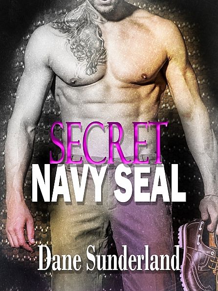 Secret Navy Seal