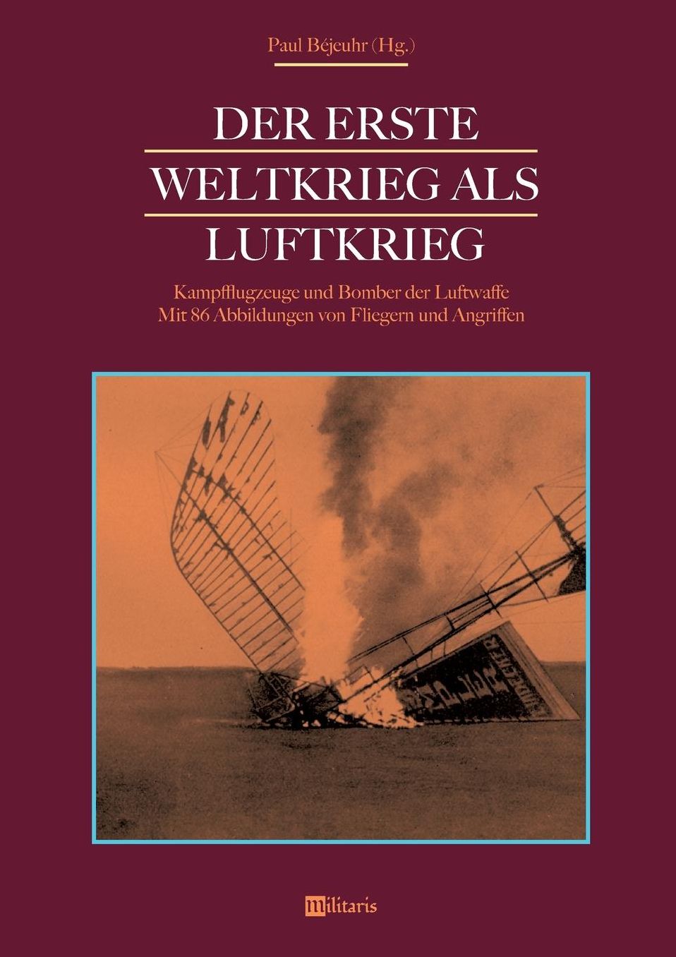 Der Erste Weltkrieg als Luftkrieg: Kampfflugzeuge und Bomber der Luftwaffe