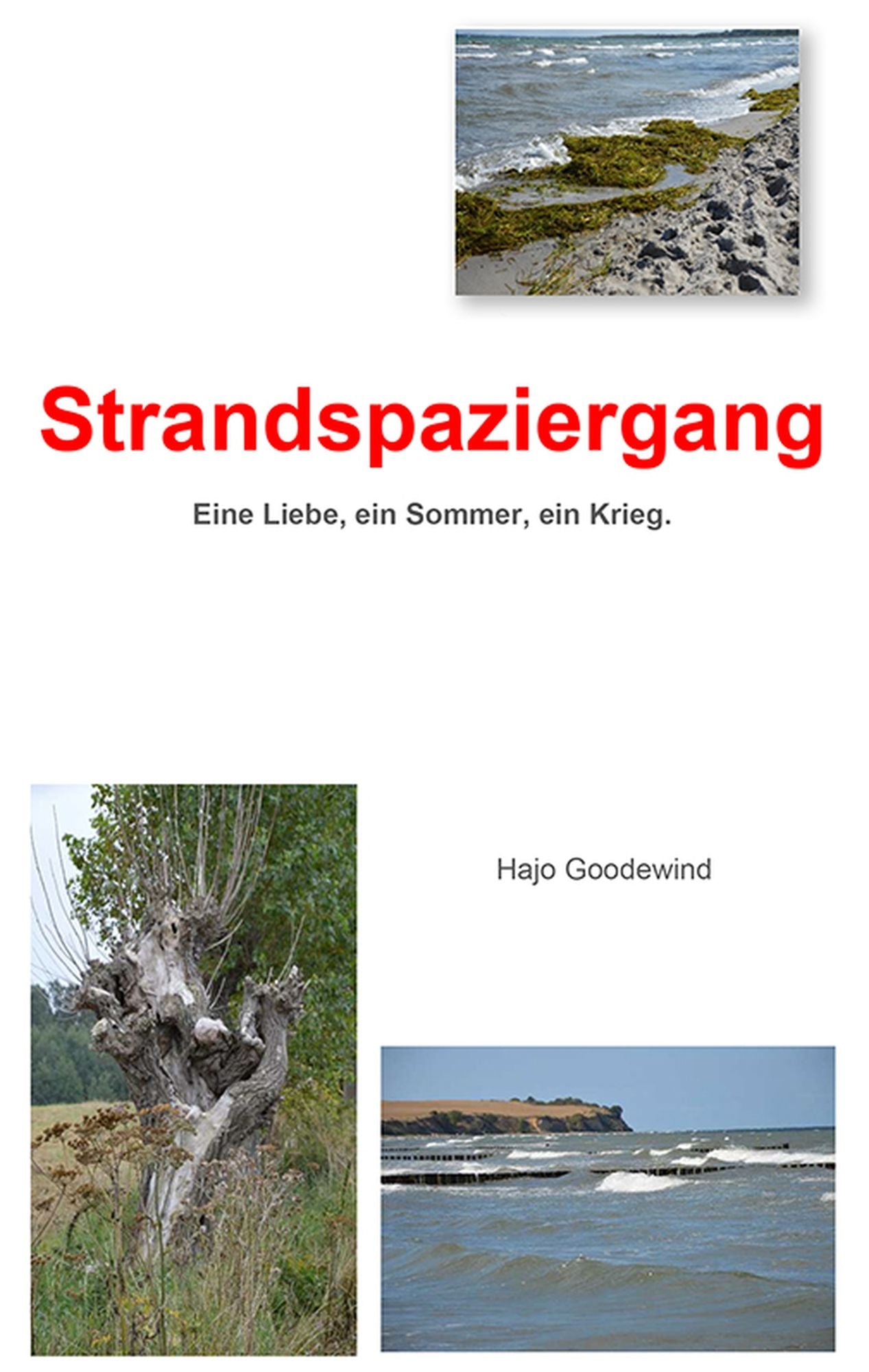 Strandspaziergang: Ein Sommer, eine Liebe, ein Krieg
