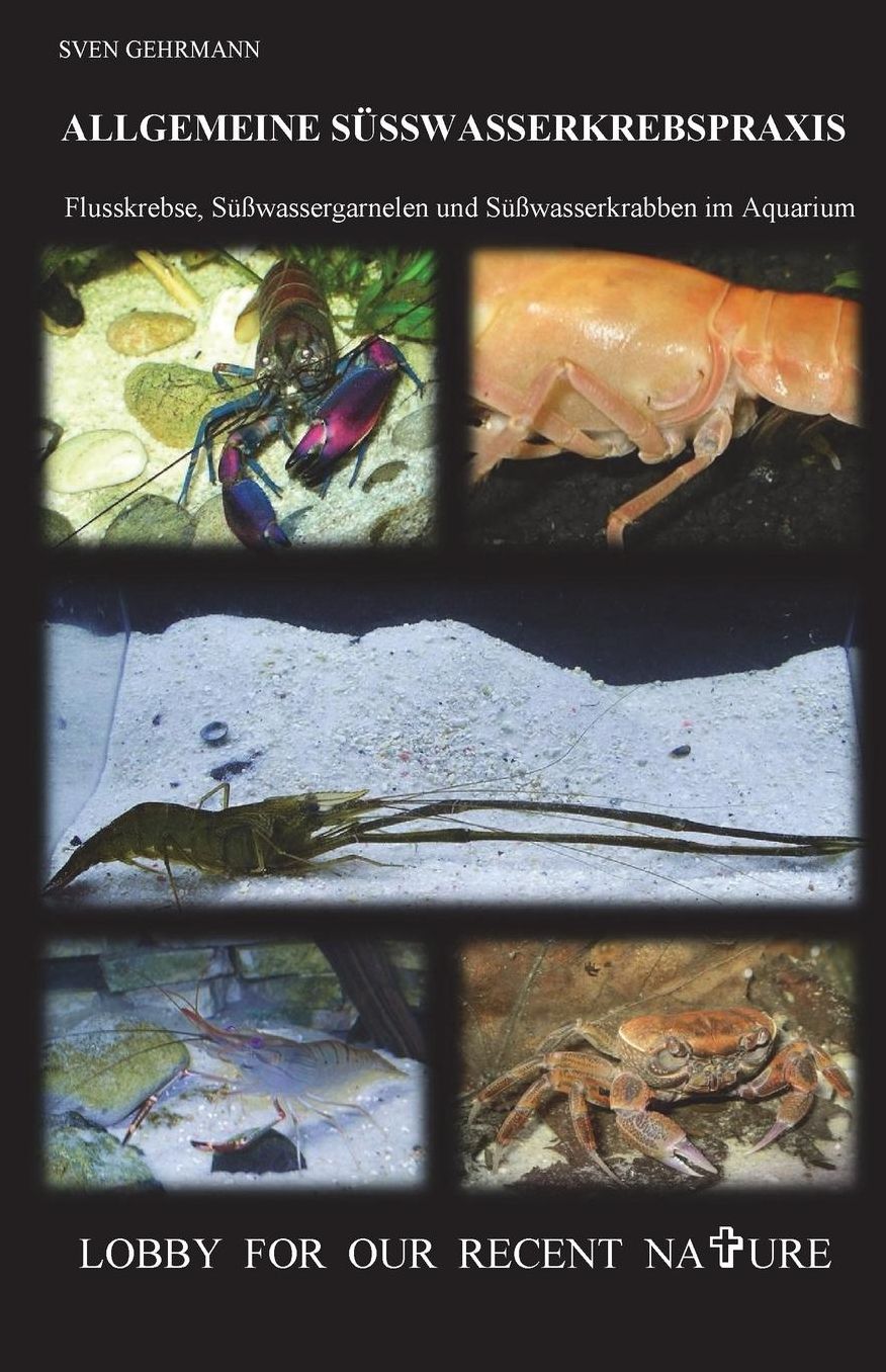 Allgemeine Suesswasserkrebspraxis: Flusskrebse, Suesswassergarnelen und Suesswasserkrabben im Aquarium