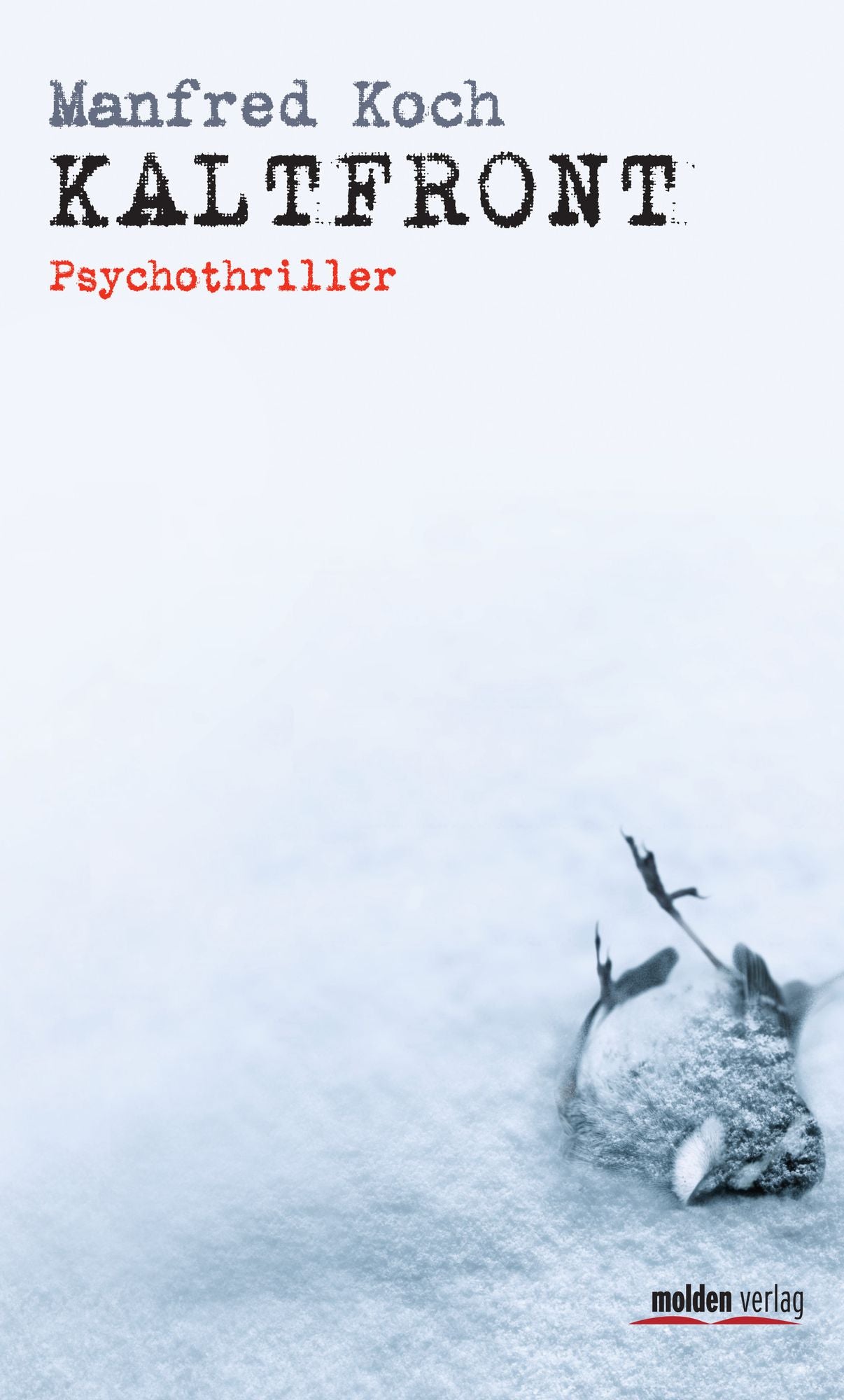 Kaltfront: Psychothriller
