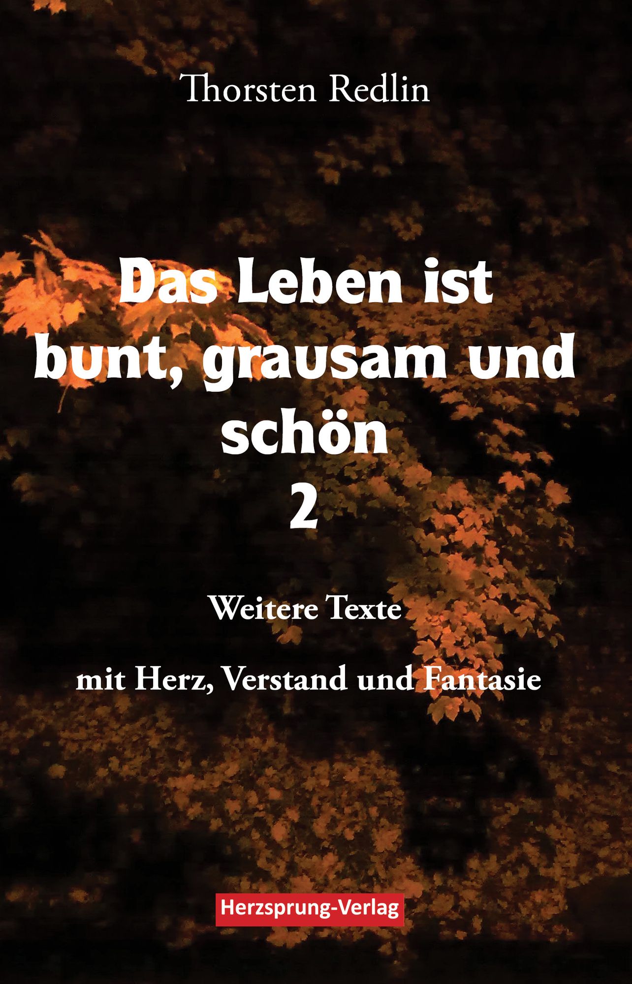 Das Leben ist bunt, grausam und schön Bd 2: Weitere Texte mit Herz, Verstand und Fantasie - Gedichte und Erzählungen