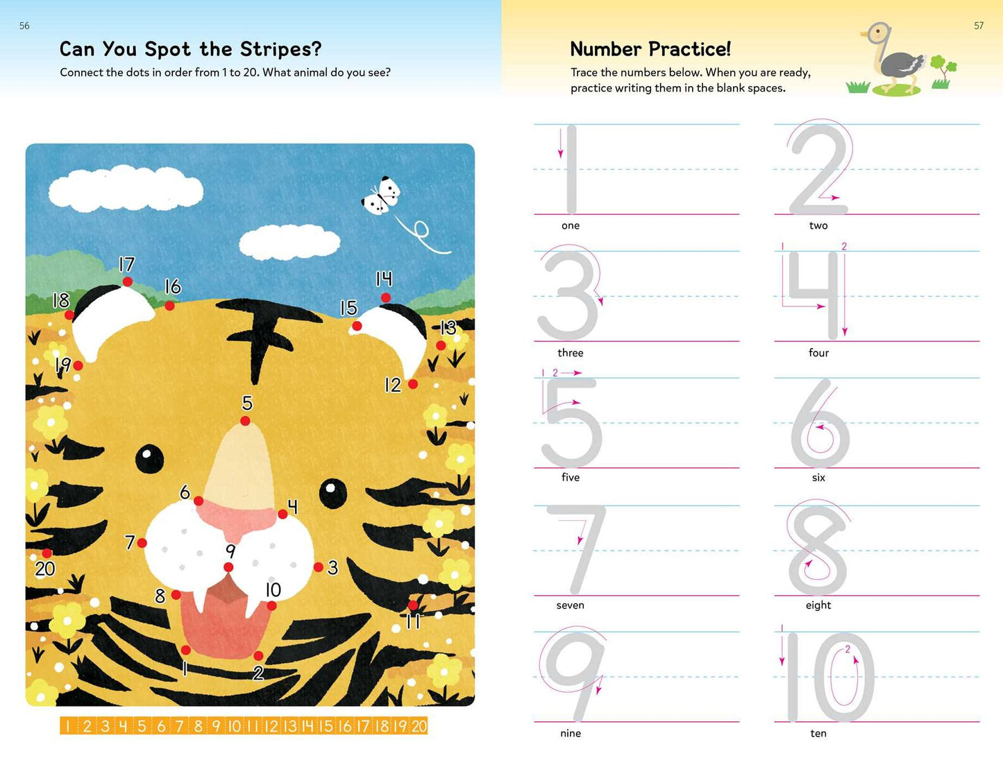 Play Smart Dot-to-Dot