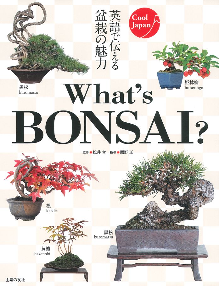 What's BONSAI?