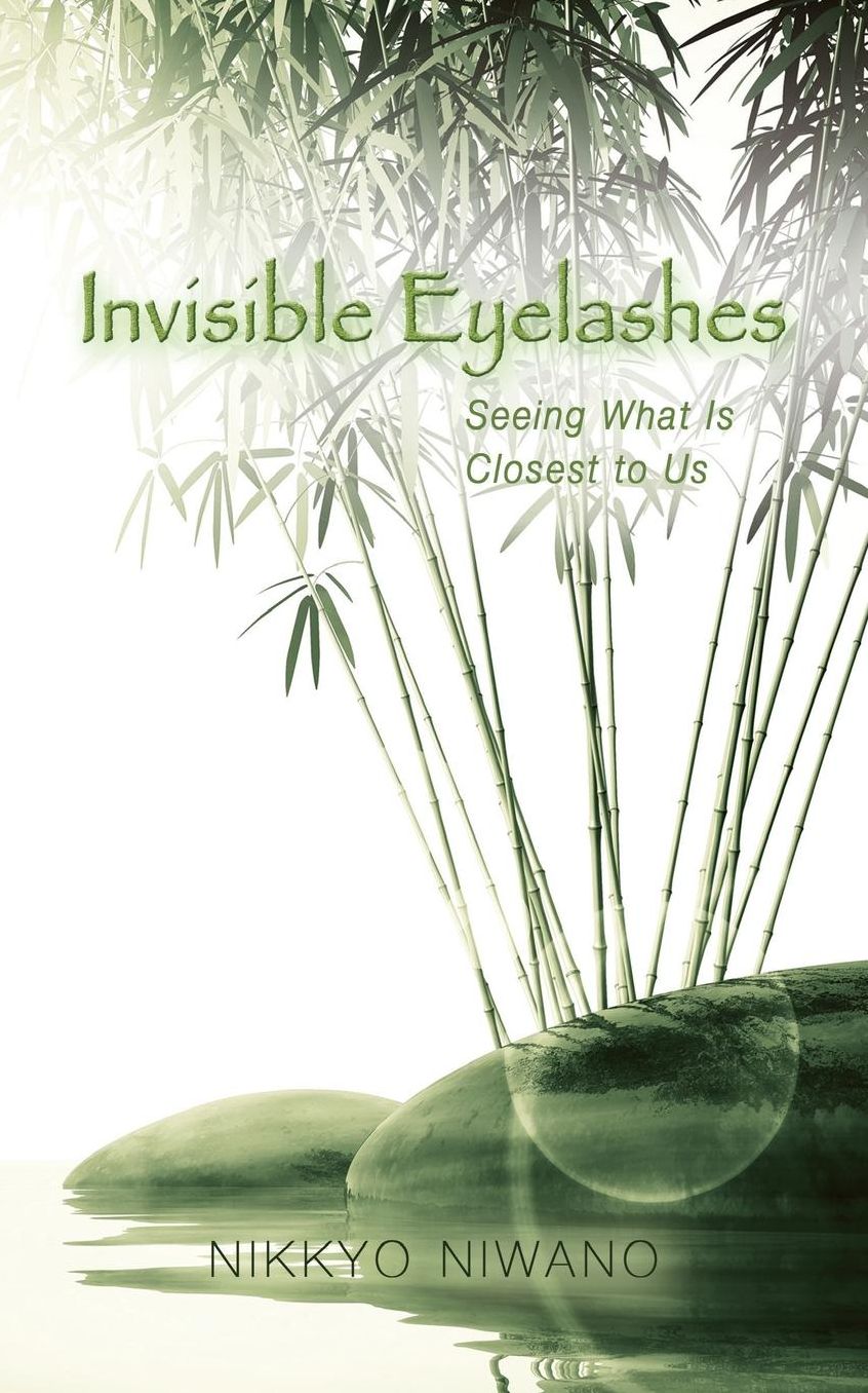 Invisible Eyelashes: Seeing What Is Closest to Us