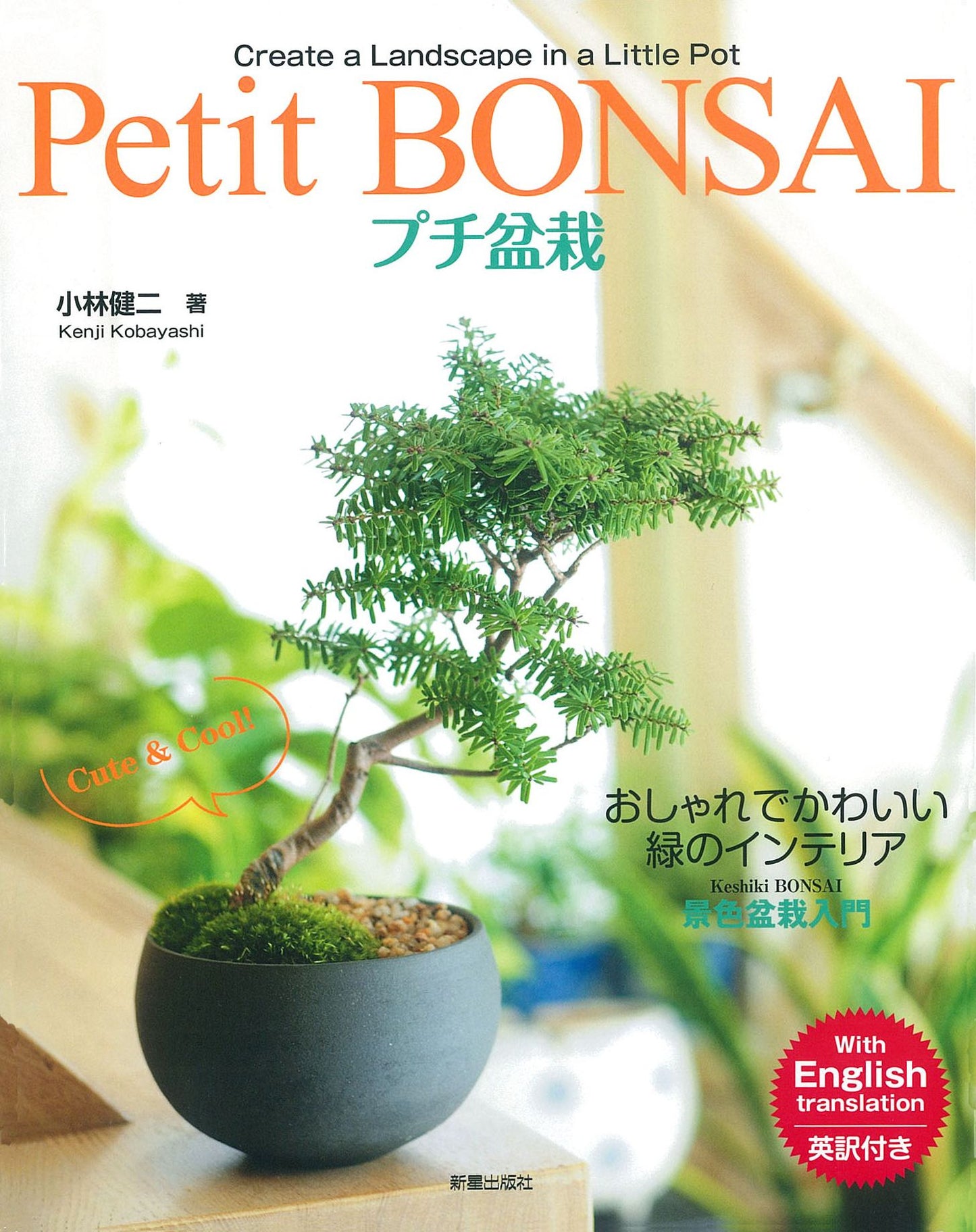 Petit BONSAI