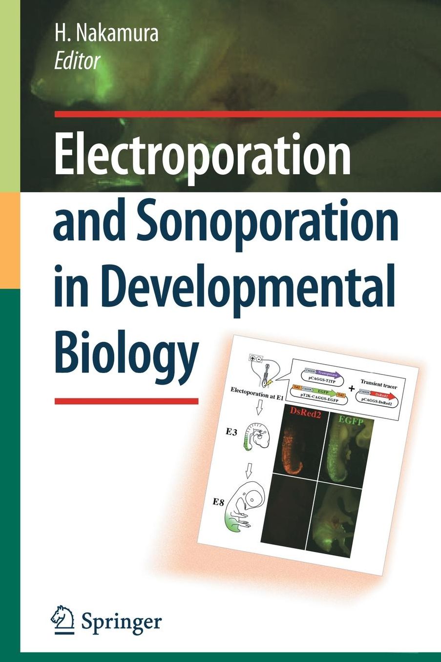 Electroporation and Sonoporation in Developmental Biology