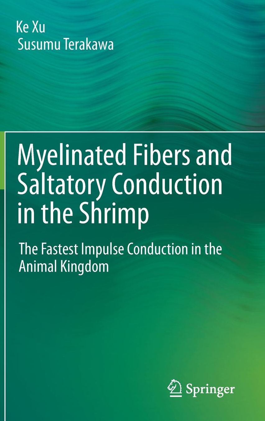 Myelinated Fibers and Saltatory Conduction in the Shrimp: The Fastest Impulse Conduction in the Animal Kingdom