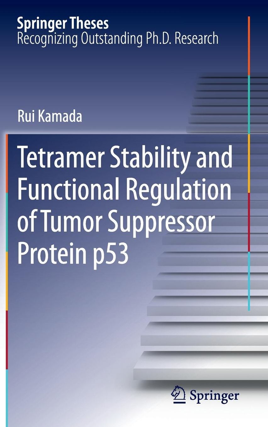 Tetramer Stability and Functional Regulation of Tumor Suppressor Protein p53
