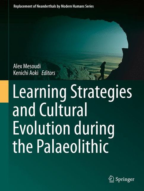 Learning Strategies and Cultural Evolution during the Palaeolithic