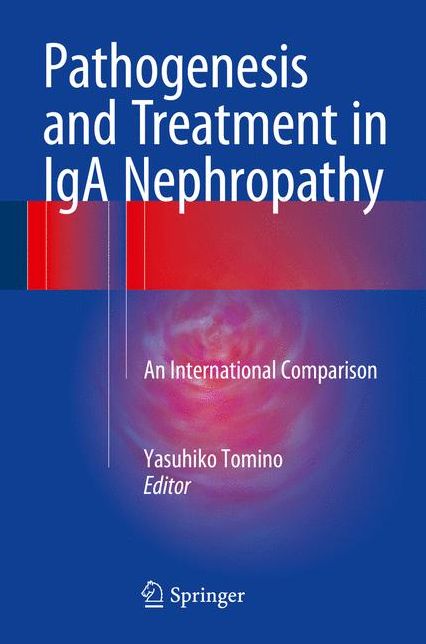 Pathogenesis and Treatment in IGA Nephropathy: An International Comparison