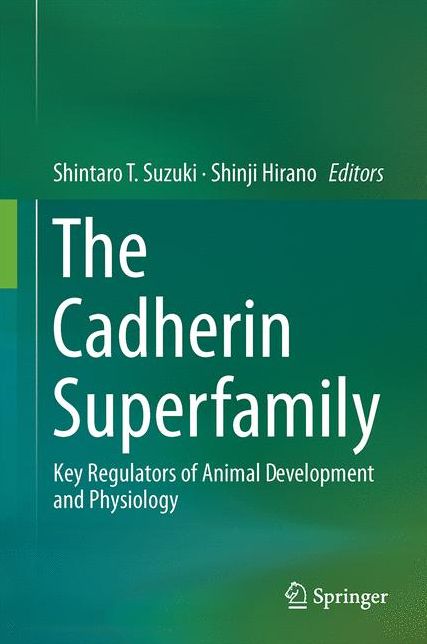 The Cadherin Superfamily: Key Regulators of Animal Development and Physiology