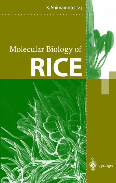 Molecular Biology of Rice