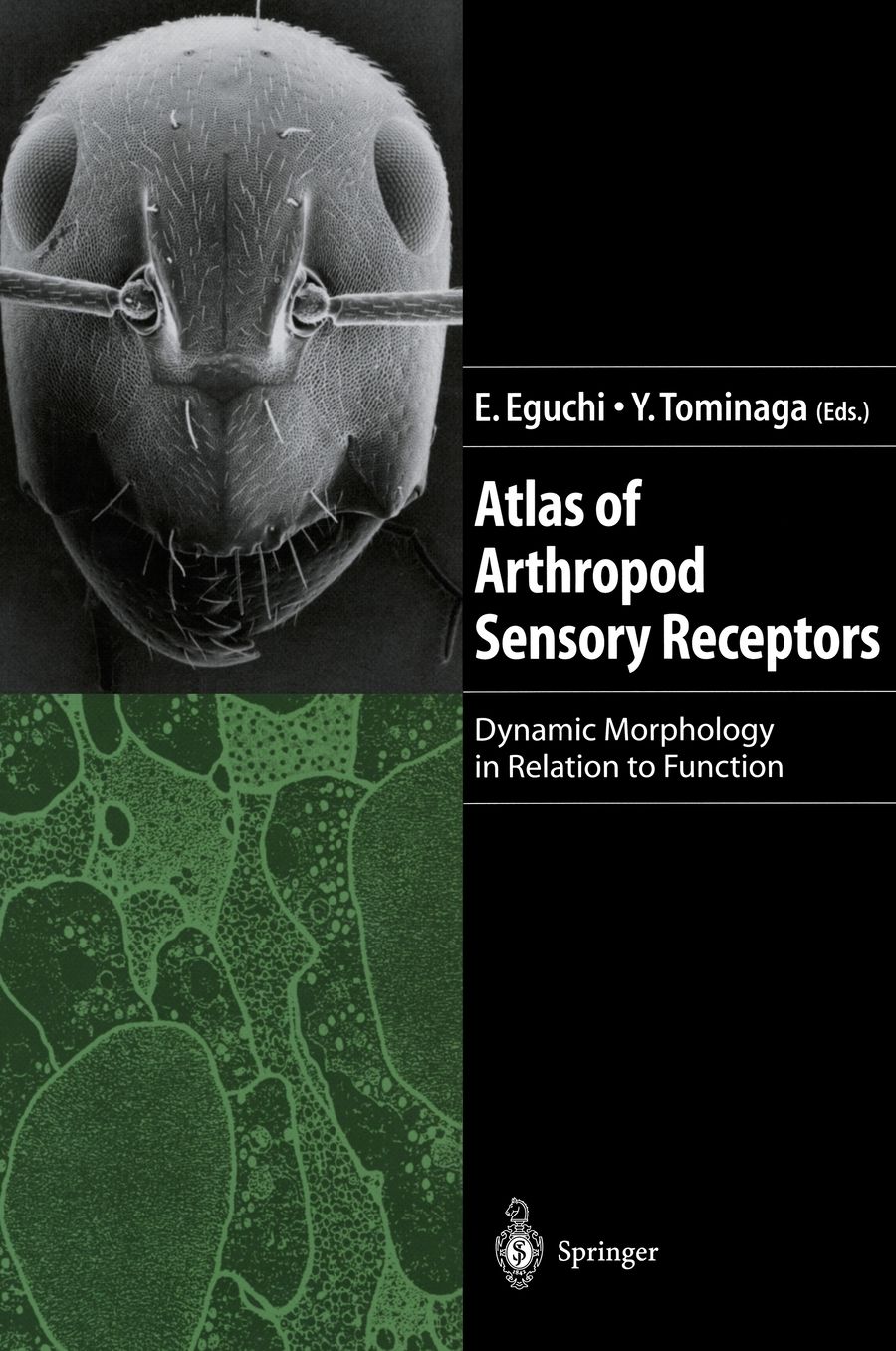 Atlas of Arthropod Sensory Receptors: Dynamic Morphology in Relation to Function