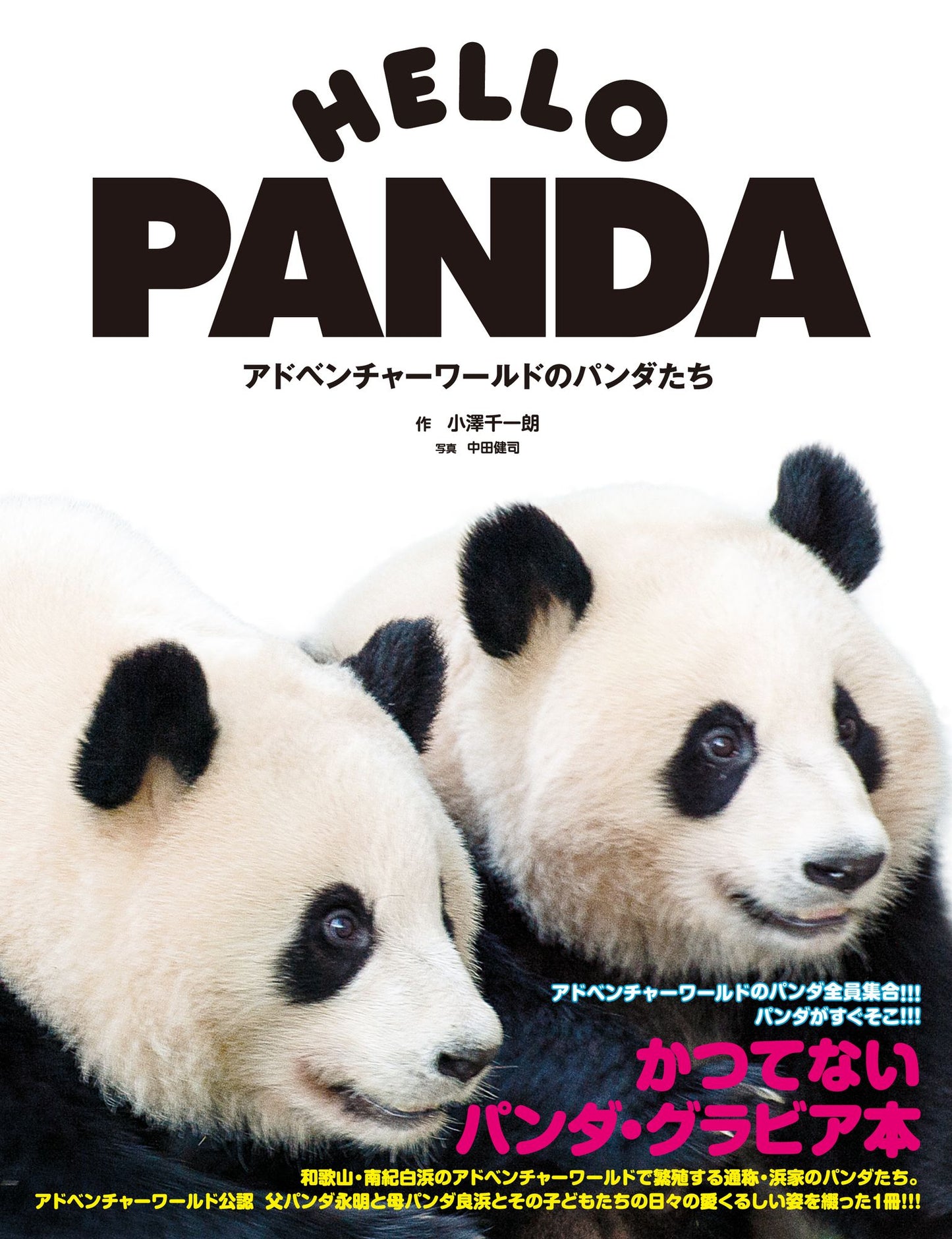HELLO PANDA
