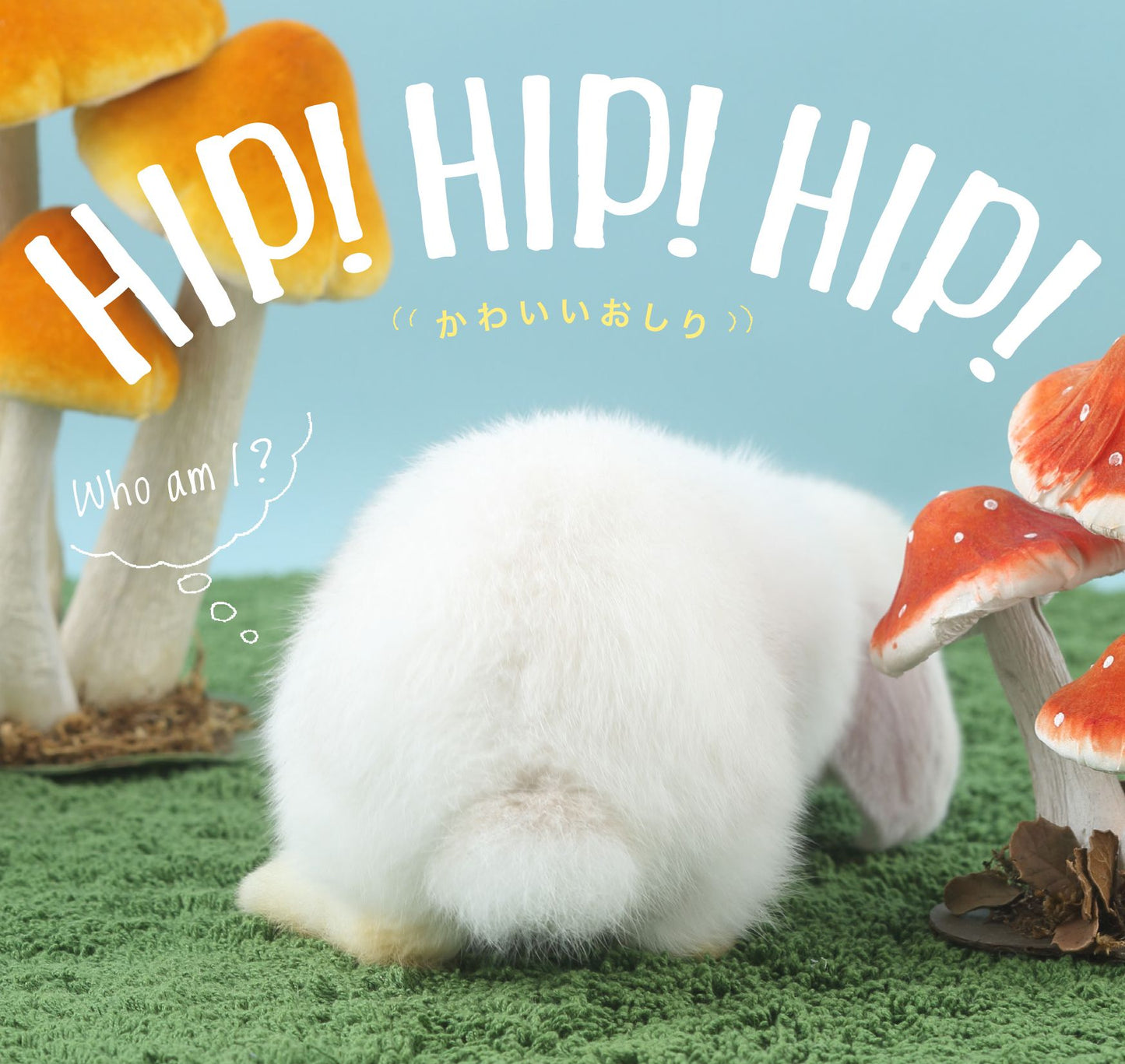 PHOTO BOOK HIP ! HIP ! HIP !