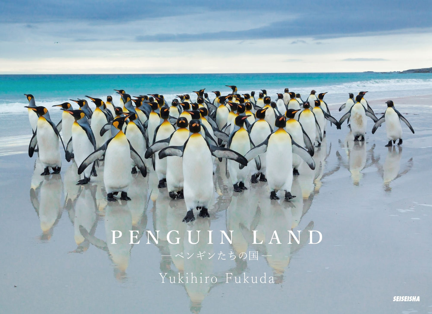PENGUIN LAND