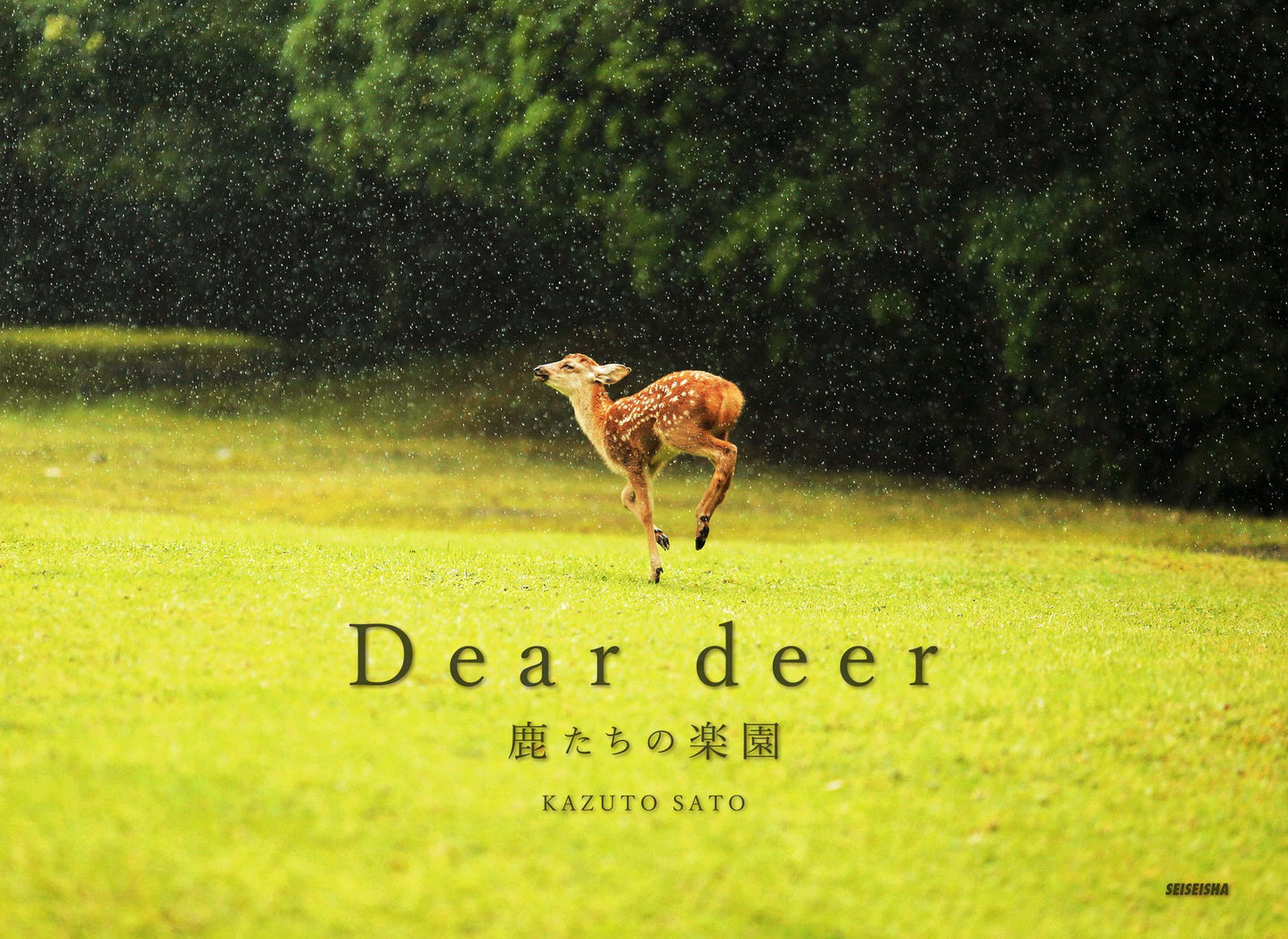 Dear Deer
