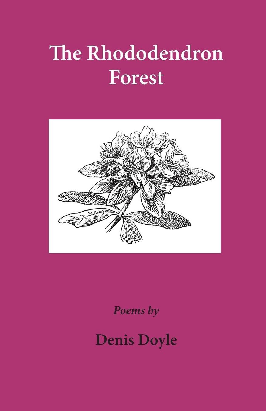 The Rhododendron Forest