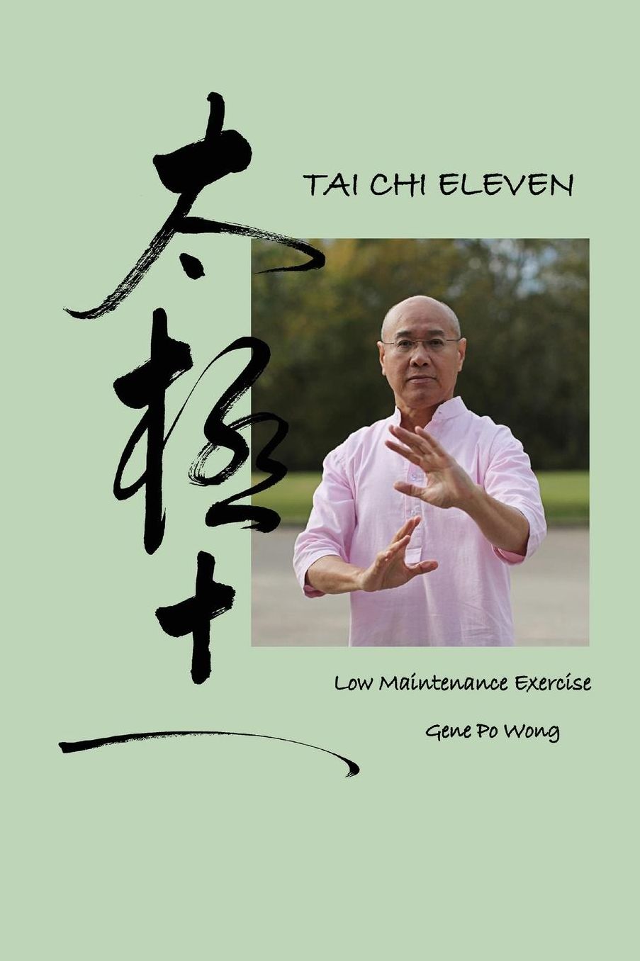 Tai Chi Eleven: Low Maintenance Exercise