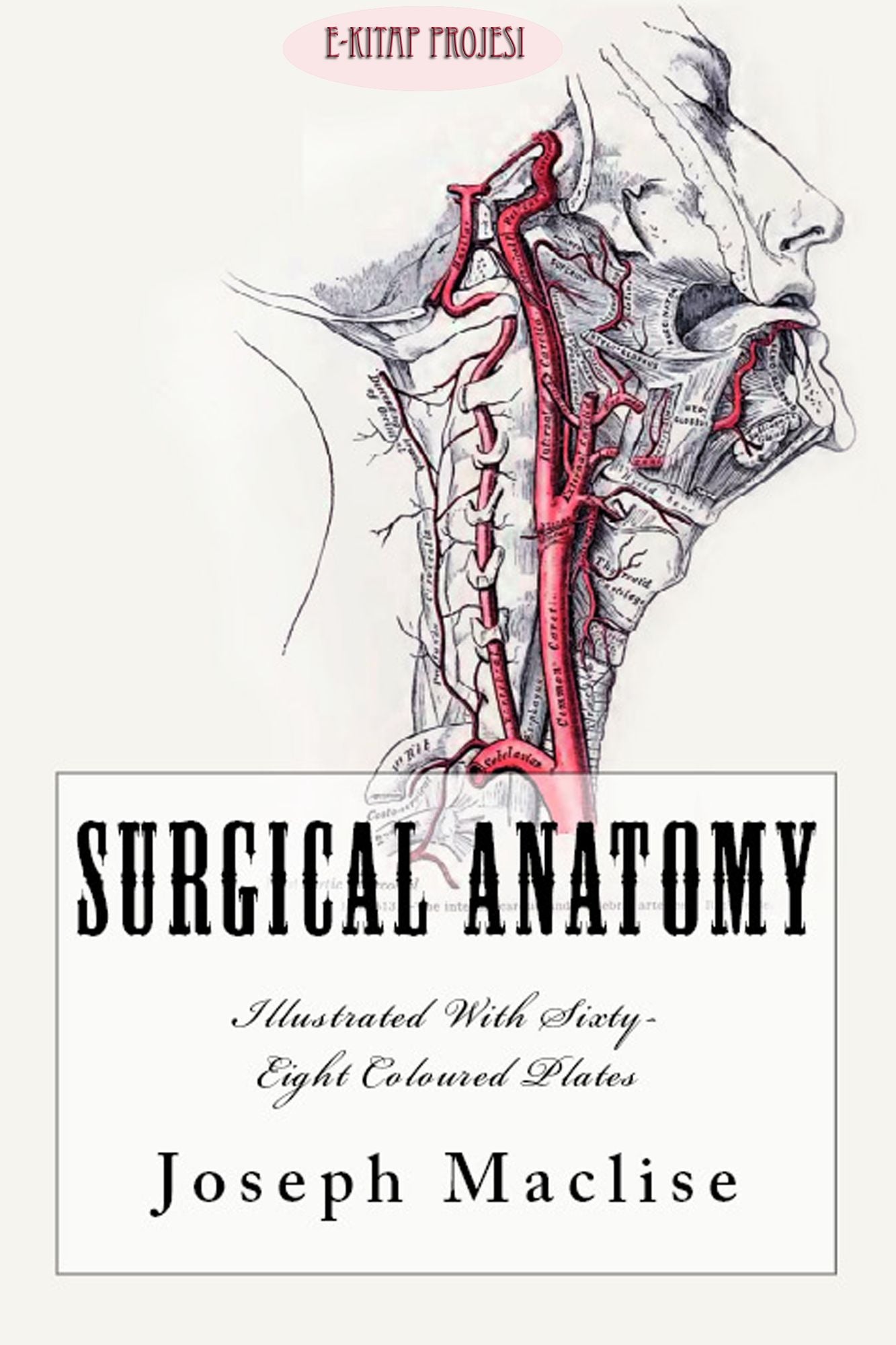 Surgical Anatomy: "With Sixty-Eight Coloured Plates"