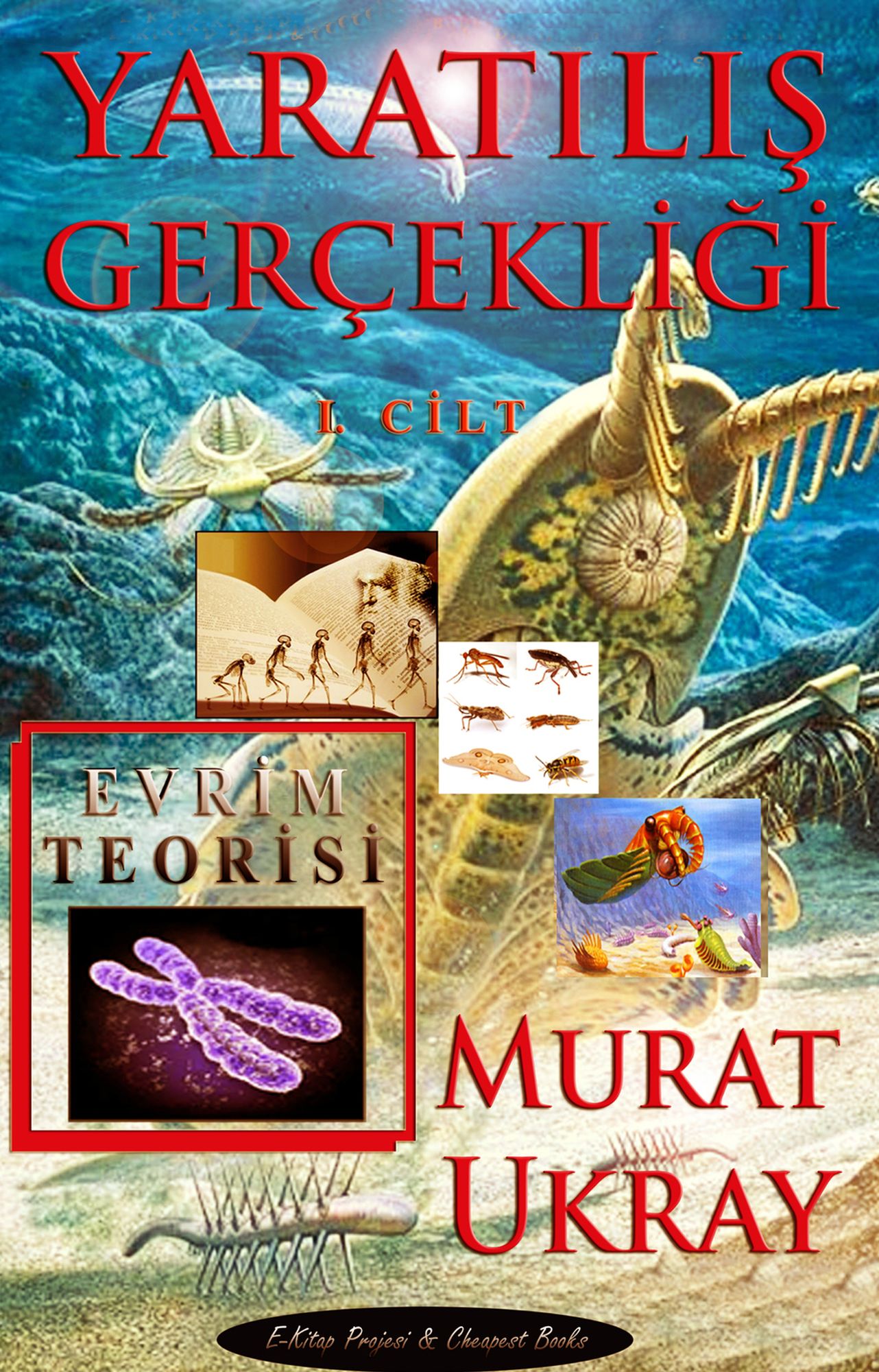 Yaratılış Gerçekliği: I. Cilt
