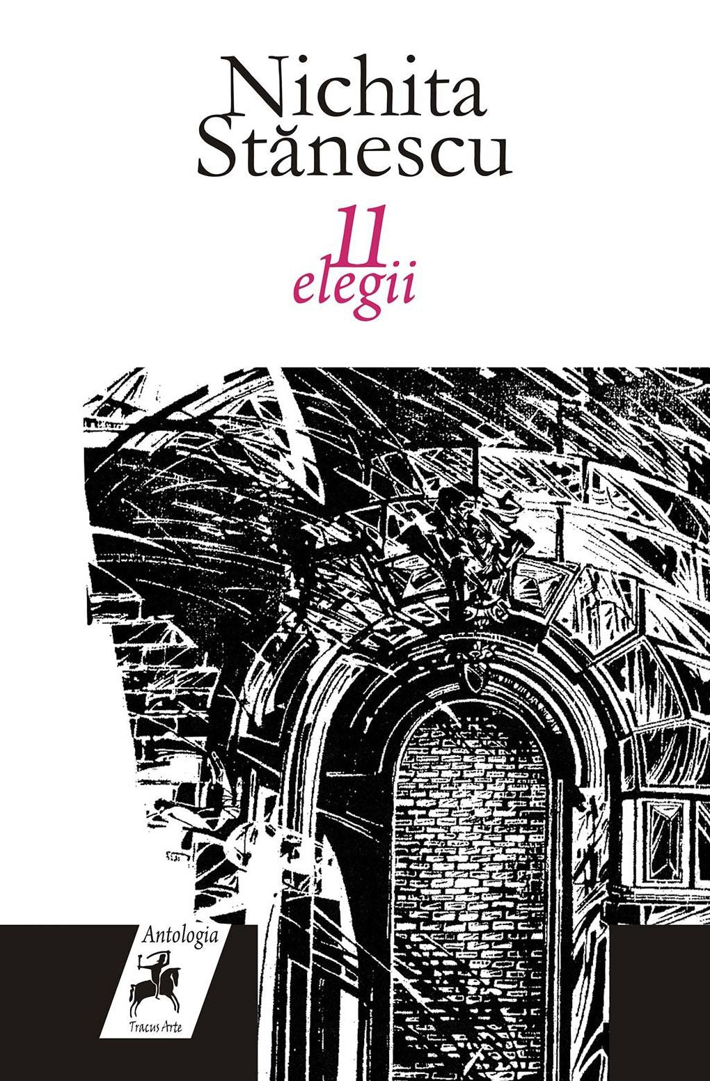 11 elegii
