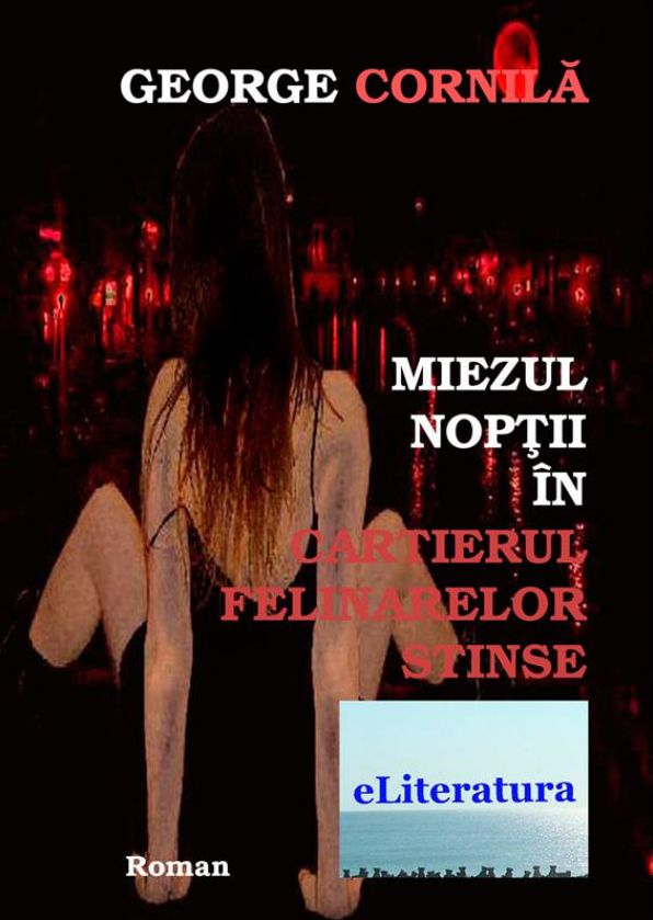 Miezul nopții în cartierul felinarelor stinse