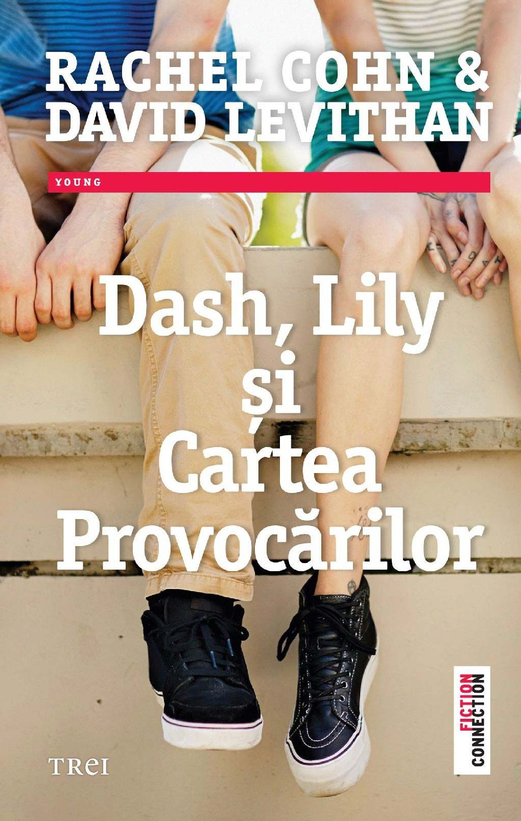 Dash, Lily și Cartea Provocărilor