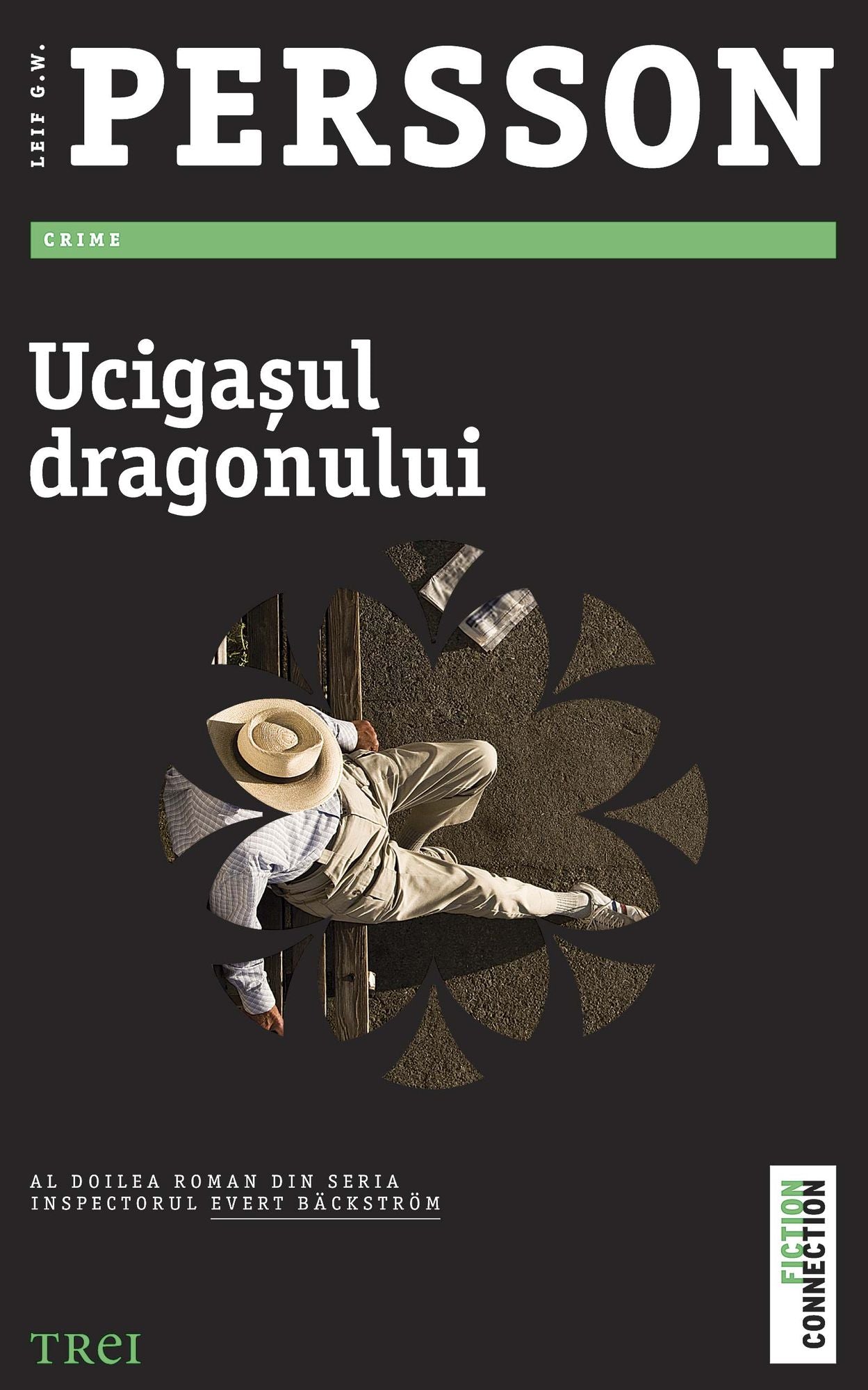 Ucigașul dragonului