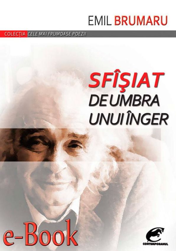 Sfasiat de umbra unui inger