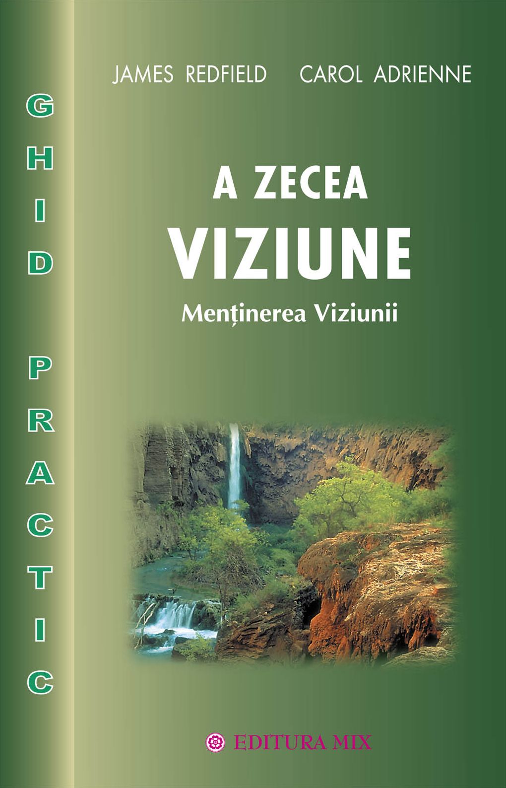 A zecea viziune. Menținerea Viziunii. Ghid practic