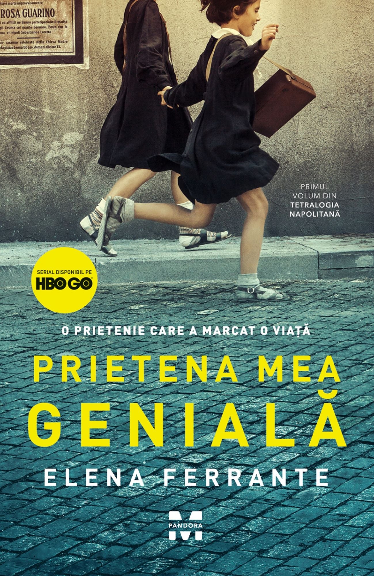 Prietena mea genială