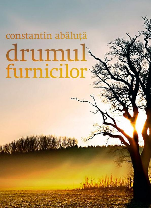 Drumul furnicilor