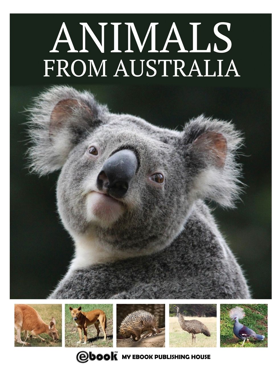Animals from Australia