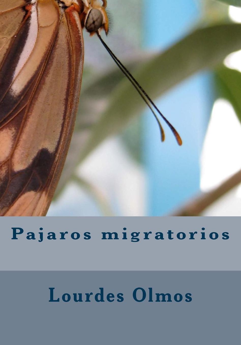 Pajaros migratorios