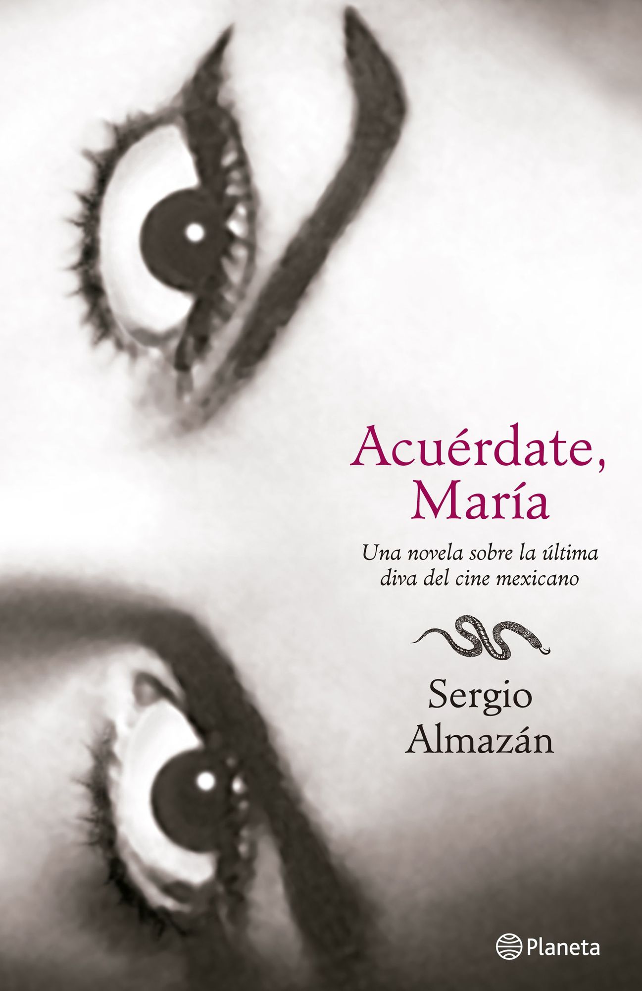Acuérdate María: Una novela sobre la última diva del cine mexicano