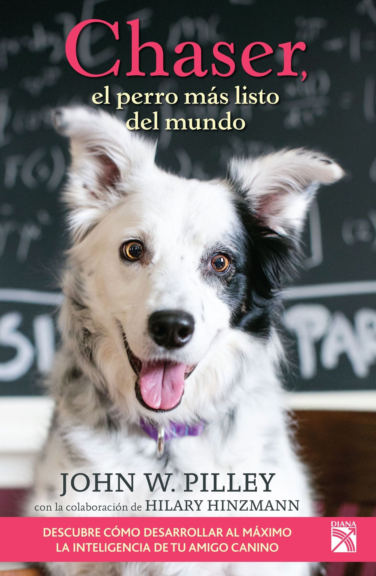 Chaser, el perro más listo del mundo: Descubre como desarrollar al máximo la inteligencia de tu amigo canino