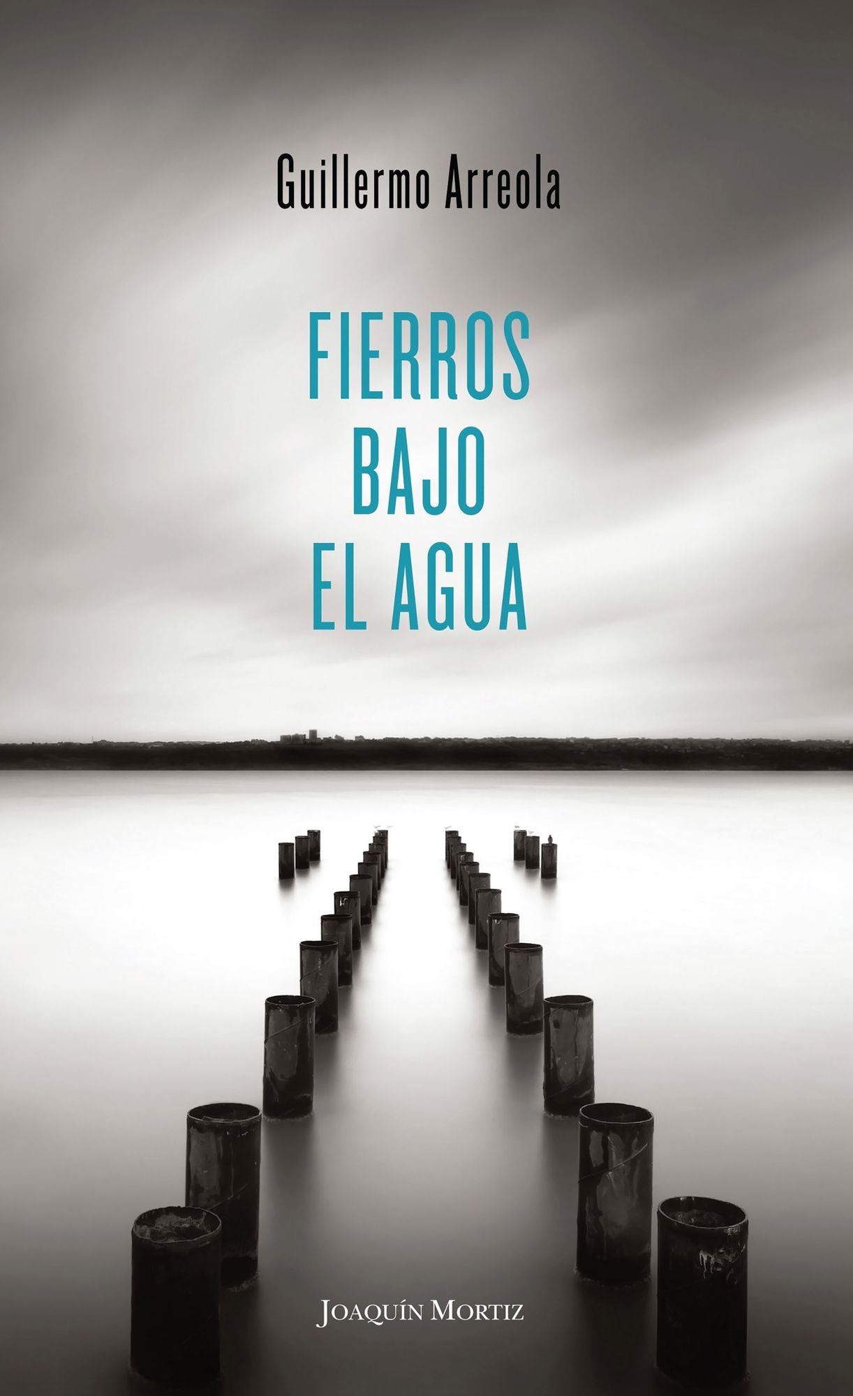 Fierros bajo el agua