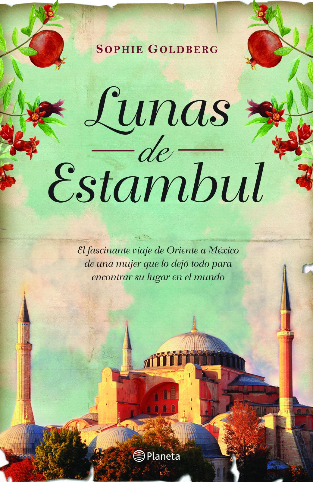 Lunas de Estambul