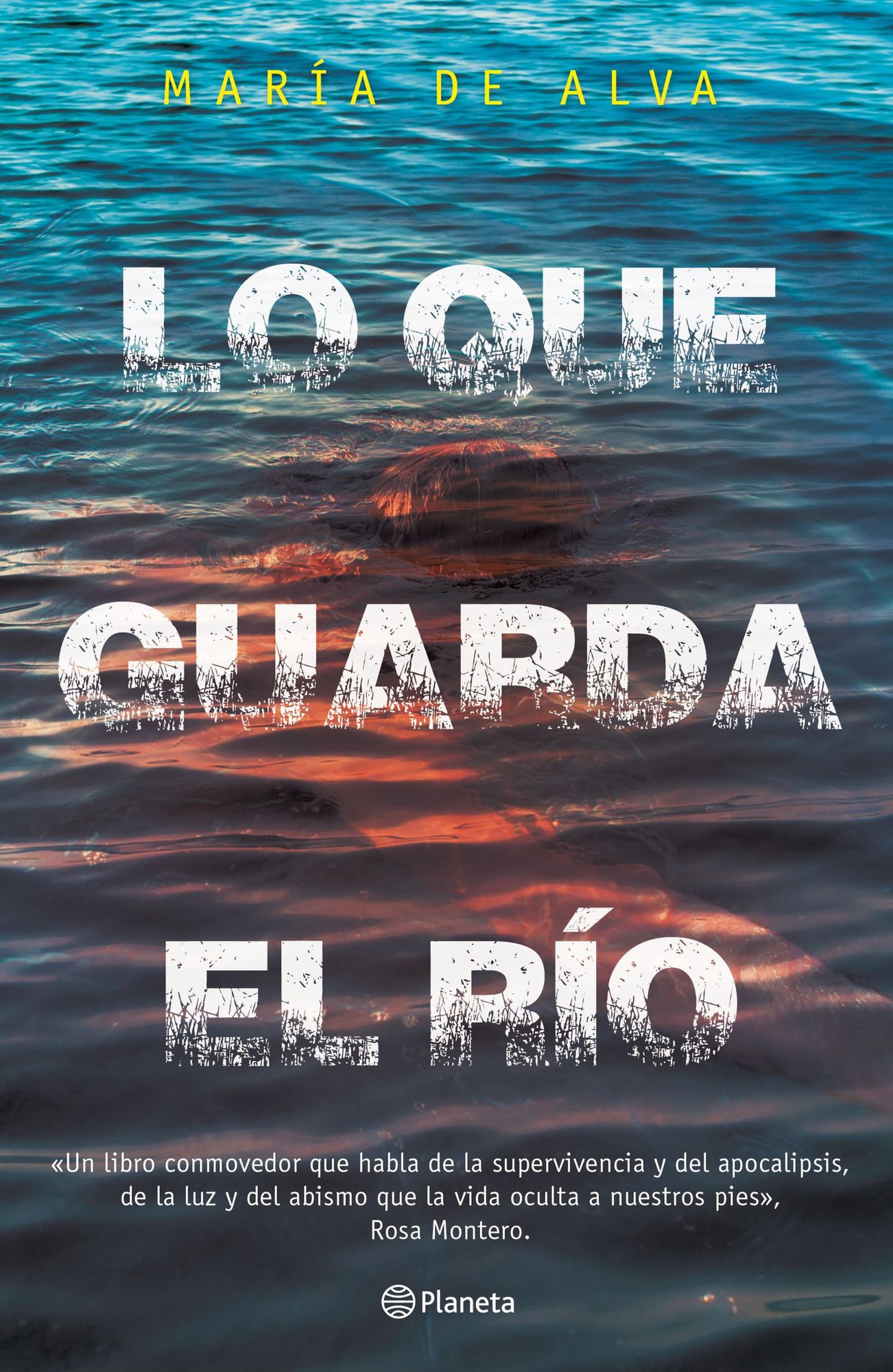 Lo que guarda el río: <<Un libro conmovedor que habla de la supervivencia y del apocalipsis, de la luz y del abismo que la vida oculta a nuestros pies>>