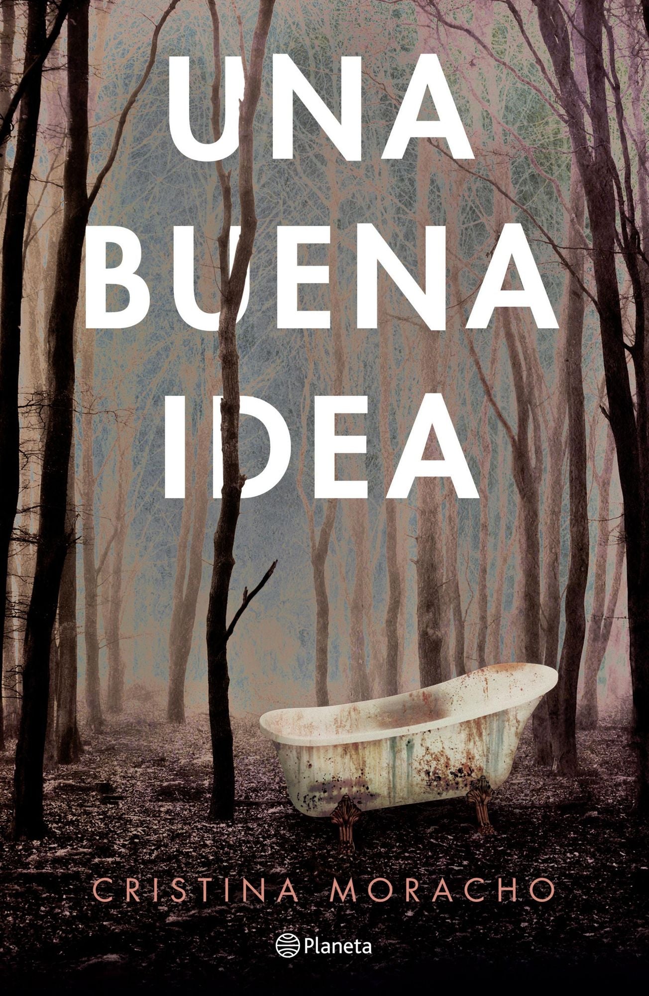 Una buena idea