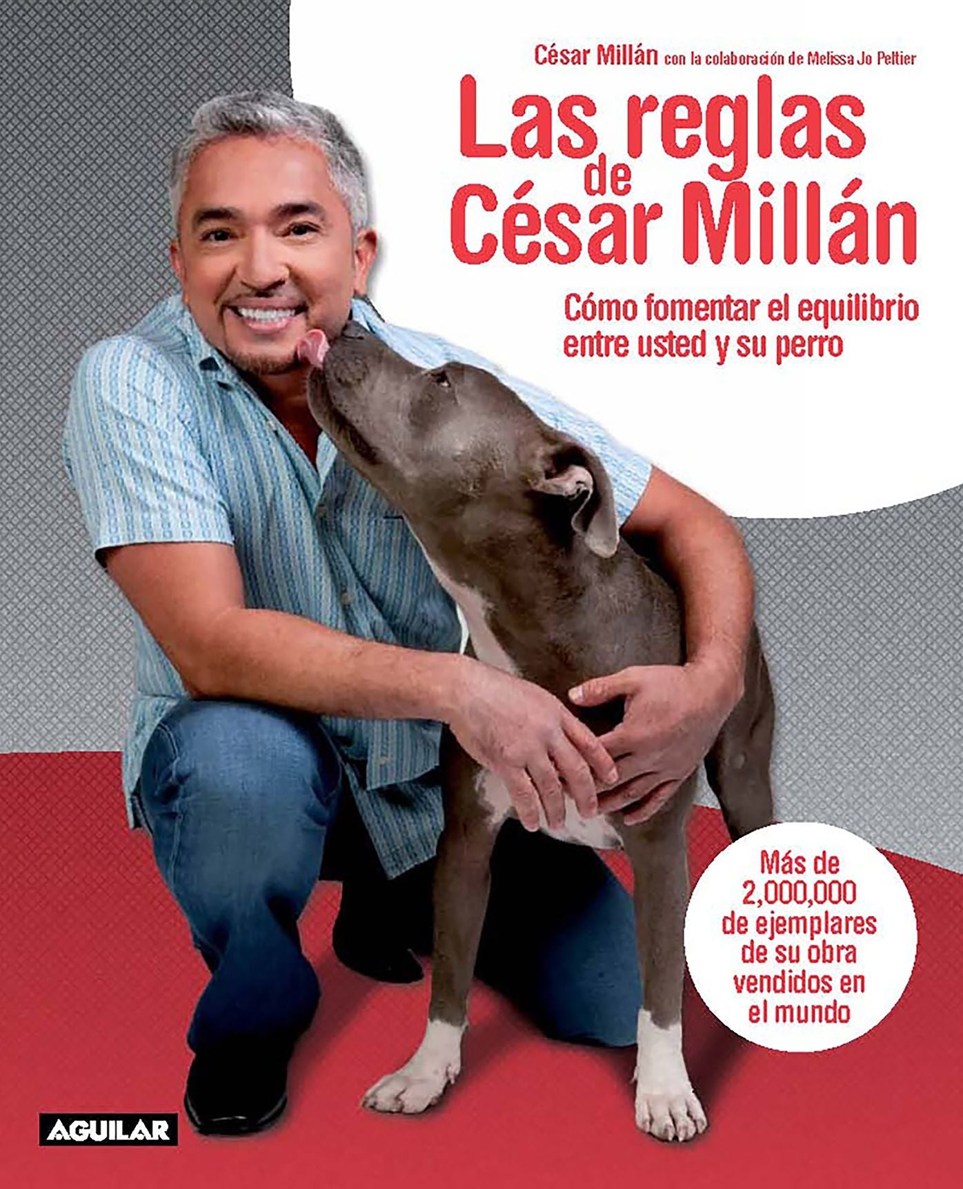 Las reglas de César Millán / Cesar's Rules: Your Way to Train a Well-Behaved Dog