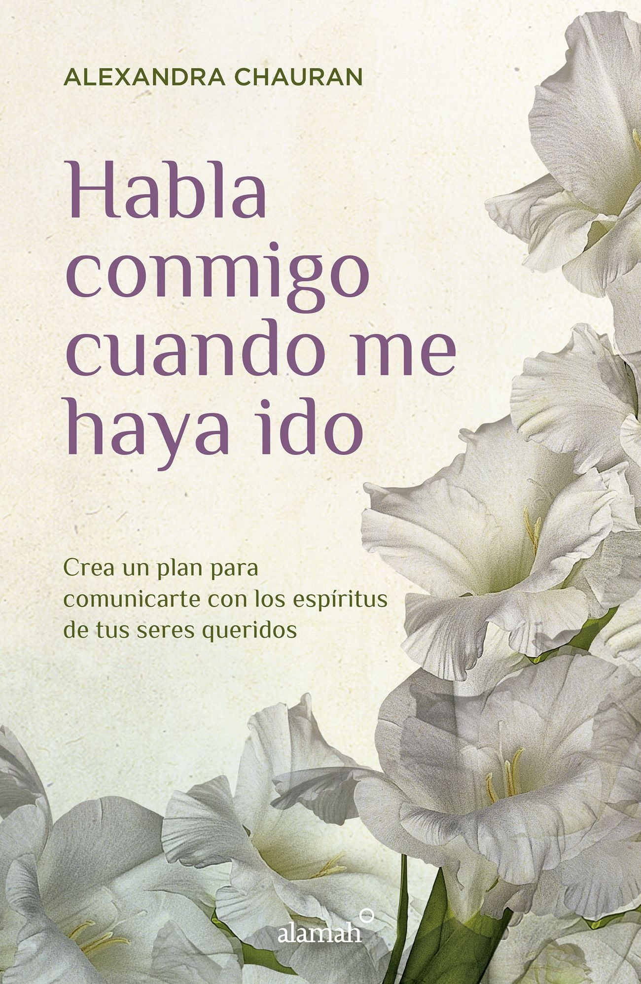 Habla conmigo cuando me haya ido: Crea un plan para comunicarte con los espíritus de tus seres queridos