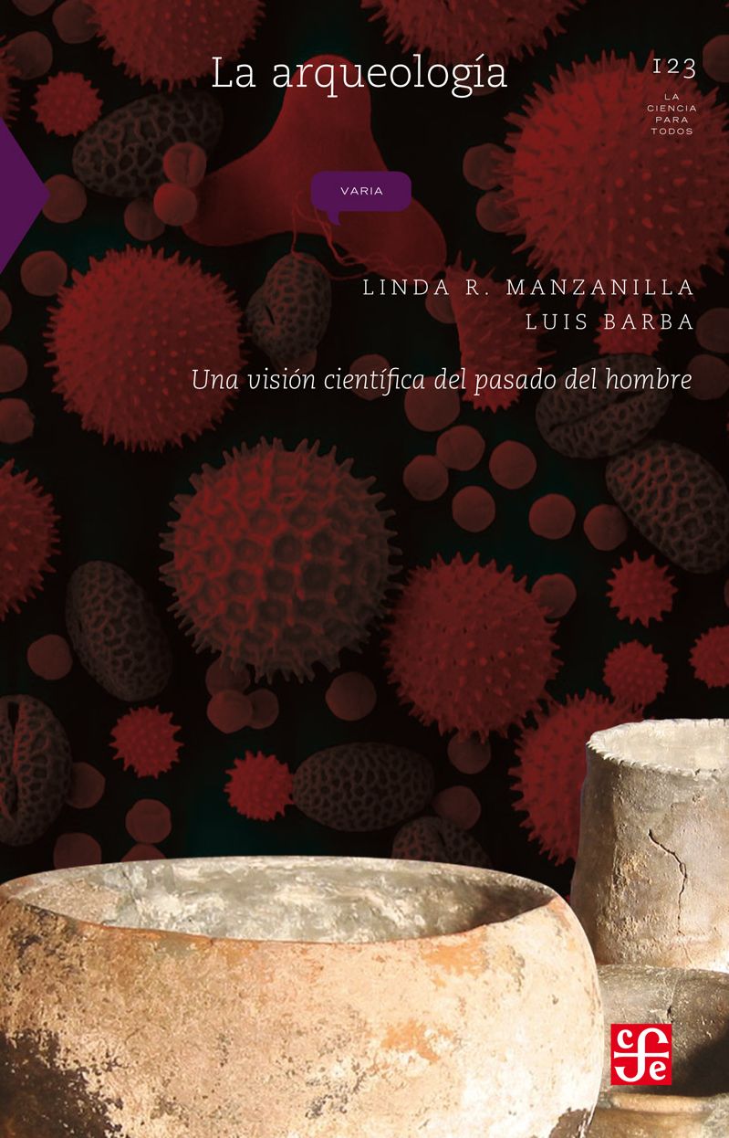 La arqueología: Una visión científica del pasado del hombre