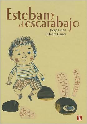 Esteban y el escarabajo