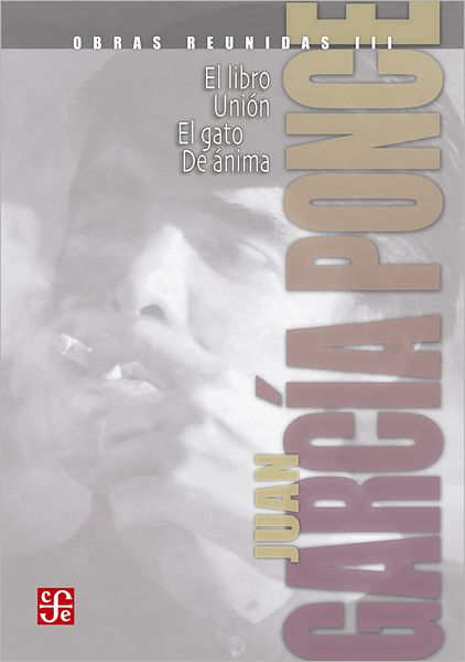 Obras reunidas, III: Novelas cortas, II